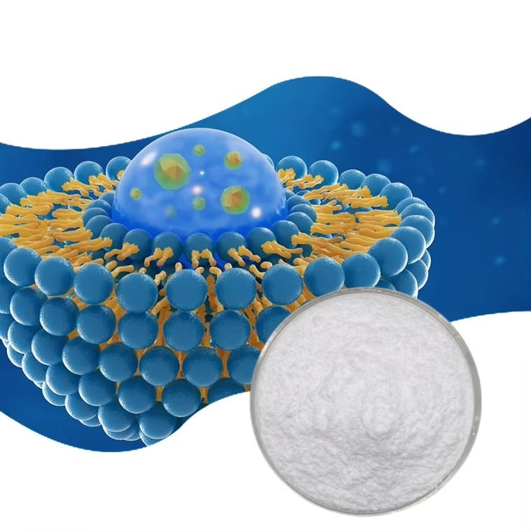 Factory Supplies Liposomal Iron Nutritional Supplement Powder 60%/70% Cosmetic Grade in Drum Packaging for Adults