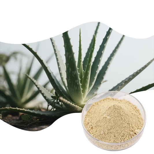 Aloin Aloe Vera L./ Aloe Barbadensis Plant Extract Powder Premium Quality Aloe Extract Powder