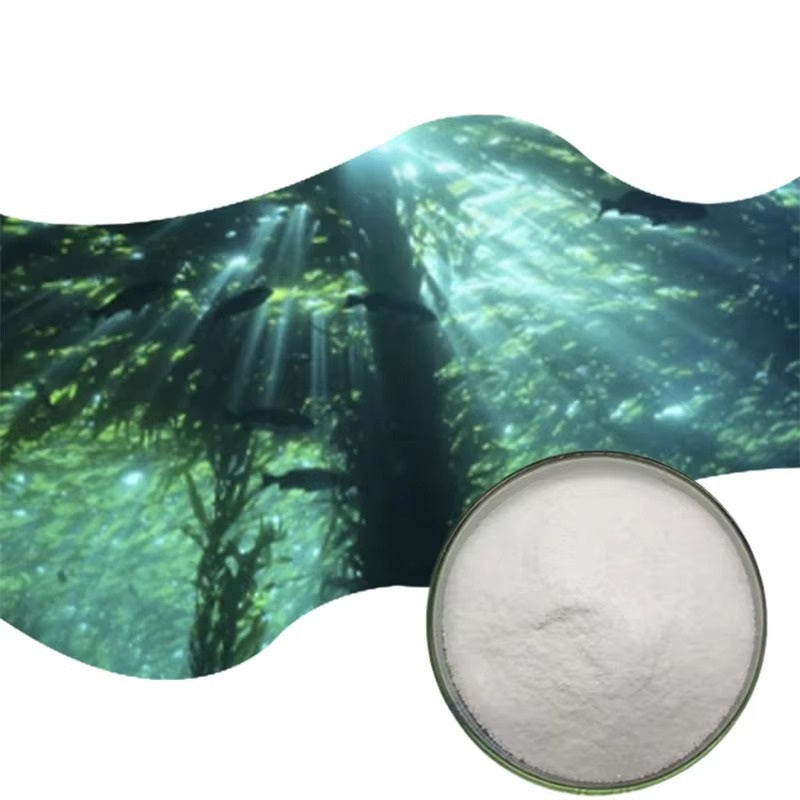 Algal microcapsule oil powder CASS 6217-54-5 Algae 3 DHA EPA 10% DHA Powder