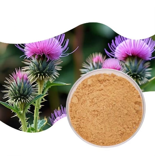 Best Price Water Soluble Milk Thistle Extract Powder High Quality Silymarin 80%