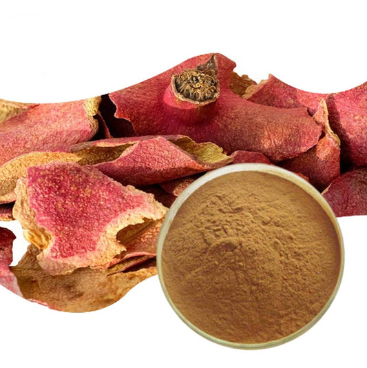 Wholesale Pure Powder Pomegranate Peel Extract 40% 90% Ellagic Acid Powder