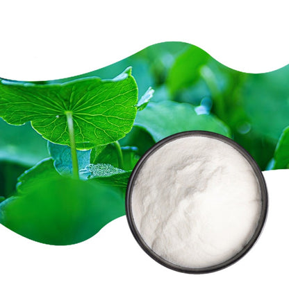 Supply Bulk Cosmetic Grade Centella Asiatica Extract Total Glycosides Asiaticoside 10% CAS 16830-15-2 Gotu Kola Extract Powder