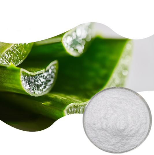 Cosmetic Grade Aloe Vera Gel 100x 200x Extract Powder Spray Dried Freeze Dried Powder