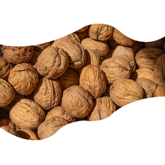 Factory Direct Supply Dried Nuts for Natural Thin-shell Walnuts