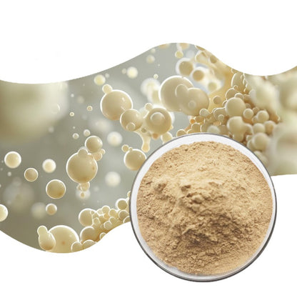 Bulk Price Yeast Extract Food Grade Yeast Extract Powder