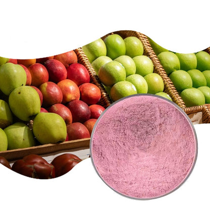Freeze-dried Fruit Concentrated Juice Powder Customized by Our Own Factory