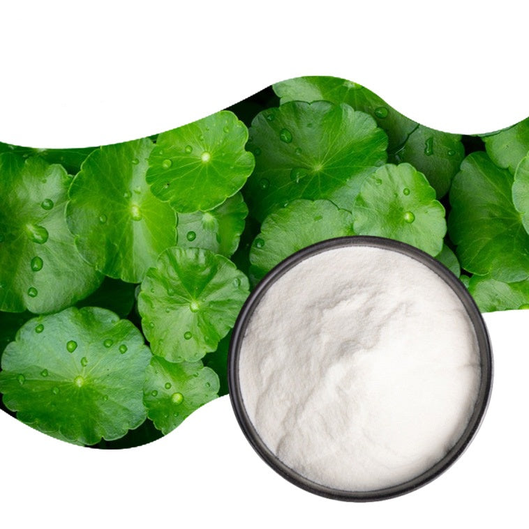 Gotu Kola Powder Centella Asiatica Extract Herbal Extract Water 90% Cosmetic Grade Drum Packaging