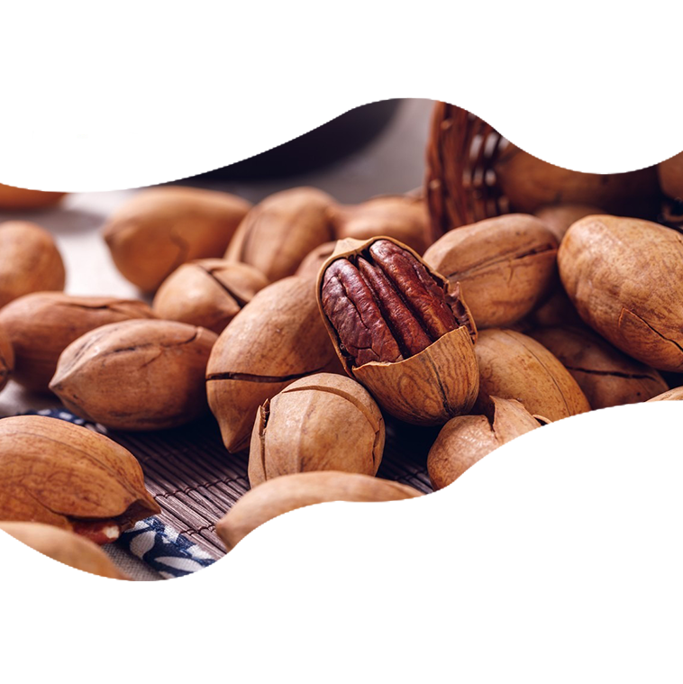 Factory Direct Supply Bulk Nut Raw Materials for Roasted Pecan Halves