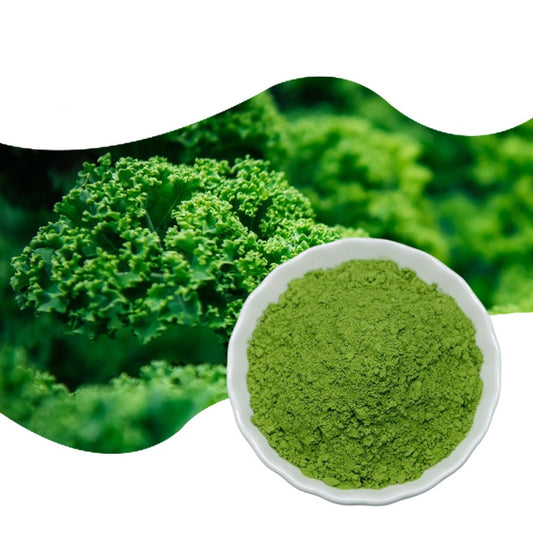 Superfood Kale Powder Wholesale Price 100% Pure Kale Extract Powder