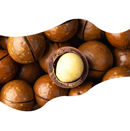 Factory Direct Supply Nut Snack for Sweet Milk Flavor Macadamia Nuts