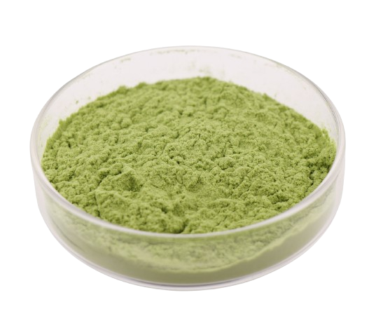 Superfood Kale Powder Wholesale Price 100% Pure Kale Extract Powder