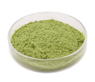 Superfood Kale Powder Wholesale Price 100% Pure Kale Extract Powder
