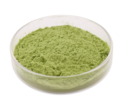 Superfood Kale Powder Wholesale Price 100% Pure Kale Extract Powder