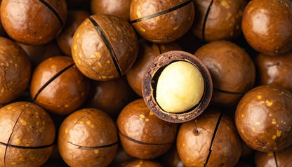 Factory Direct Supply Nut Snack for Sweet Milk Flavor Macadamia Nuts