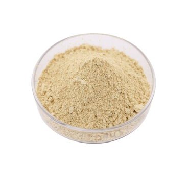 Food Grade Freeze-Dried Mango Fruit Powder Factory Wholesale in Drum Packaging