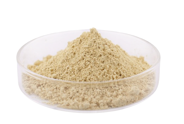 Food Grade Pineapple Extract 100000u/g Bromelain Enzyme Bromelain Powder