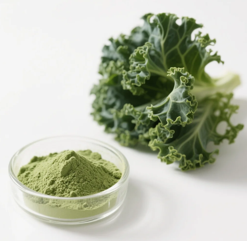Food Grade 100% Green Vegetable Kale Powder Additive Packaged in Drum