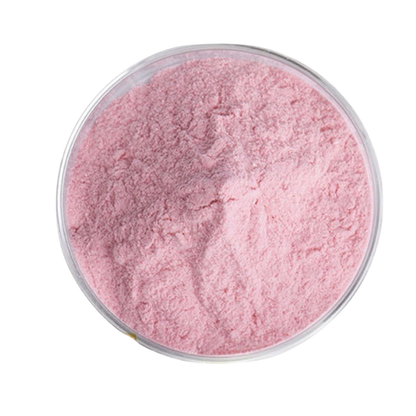 Hot-selling Freeze-dried Fruit Juice Powder in the European Union