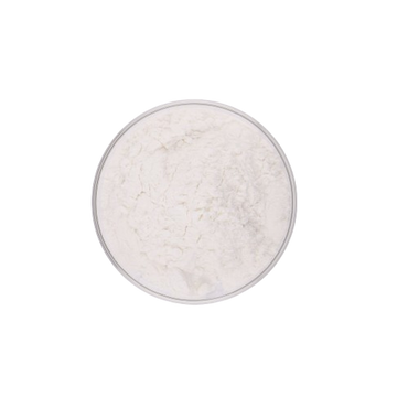 Pure Apple Peel Extract Phloretin 98% Apple Peel Extract Phloretin Powder for Skin Whitening