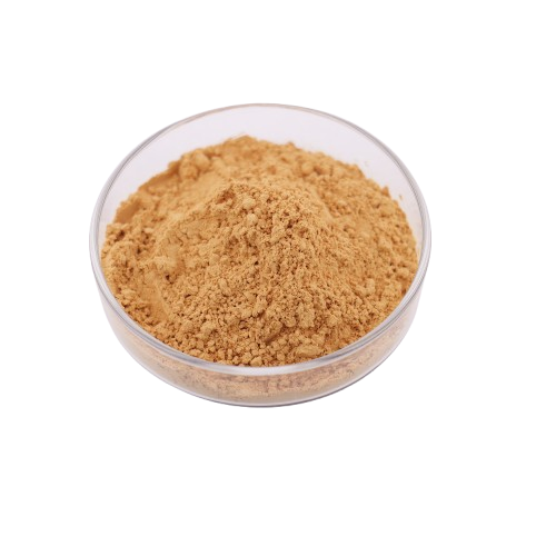 Best Price Water Soluble Milk Thistle Extract Powder High Quality Silymarin 80%