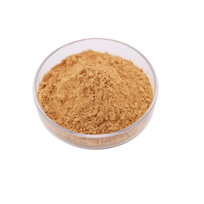 Best Price Water Soluble Milk Thistle Extract Powder High Quality Silymarin 80%