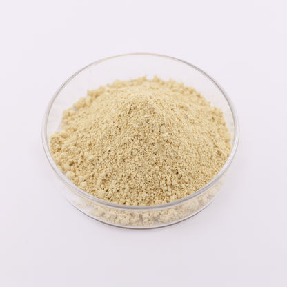Aloin Aloe Vera L./ Aloe Barbadensis Plant Extract Powder Premium Quality Aloe Extract Powder