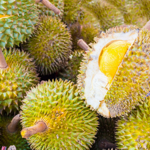 Factory Supply Wholesale Water Soluble Natural Durian Powder for Foods and Beverages High Quality Durian Powder