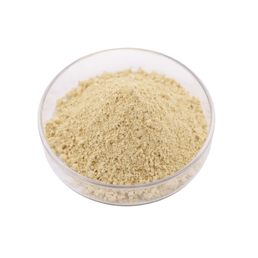 Bulk Price Yeast Extract Food Grade Yeast Extract Powder