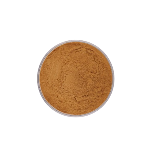 Factory Direct Natural Food Grade 10% 98% Rosemary Leaf Extract Powder 10:1 Carnosic Acid
