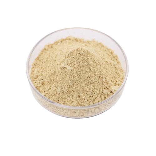 Bulk Price Yeast Extract Food Grade Yeast Extract Powder
