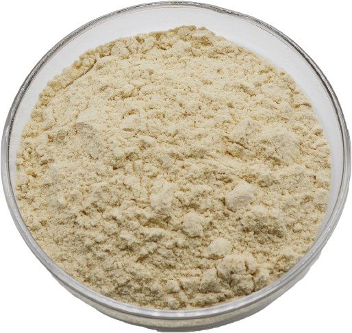 Food Grade Freeze-Dried Mango Fruit Powder Factory Wholesale in Drum Packaging
