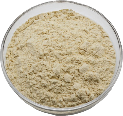 Food Grade Freeze-Dried Mango Fruit Powder Factory Wholesale in Drum Packaging