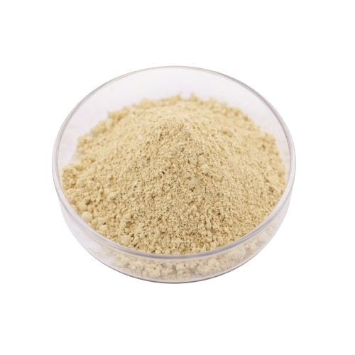 Food Grade Pineapple Extract 100000u/g Bromelain Enzyme Bromelain Powder