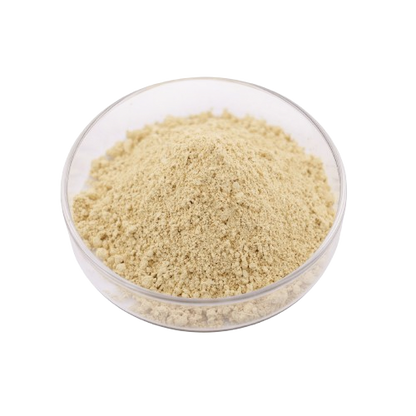 Food Grade Pineapple Extract 100000u/g Bromelain Enzyme Bromelain Powder
