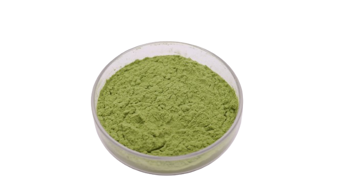 Superfood Kale Powder Wholesale Price 100% Pure Kale Extract Powder
