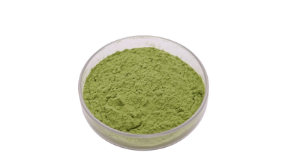 Superfood Kale Powder Wholesale Price 100% Pure Kale Extract Powder
