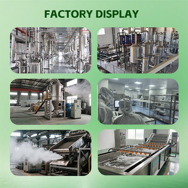 Factory Supply Bulk FD Freeze Dried Durian Slice Sweet High Quality Crispy Pure Health Food Grade Vacuum Pack