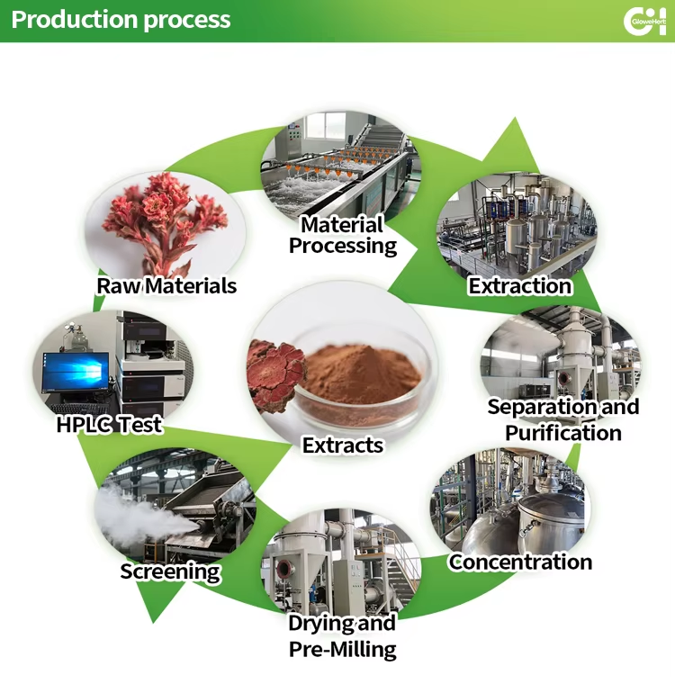Factory Supply High Quality Lemon Freeze-dried Powder Lime Fruit Juice Extract Powder